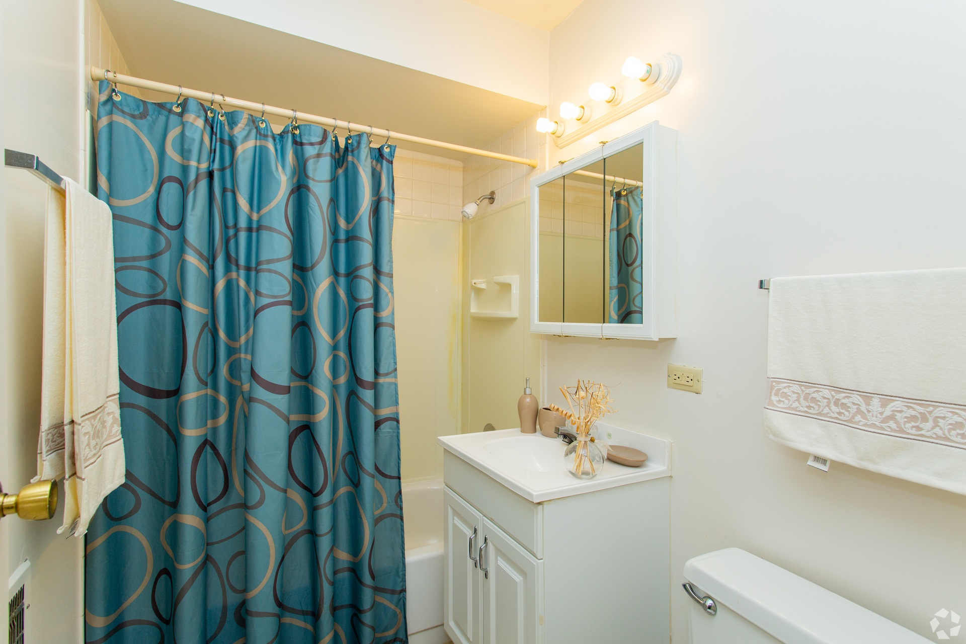 Dynasty Pointe Apartments bathroom in Woodridge, Illinois